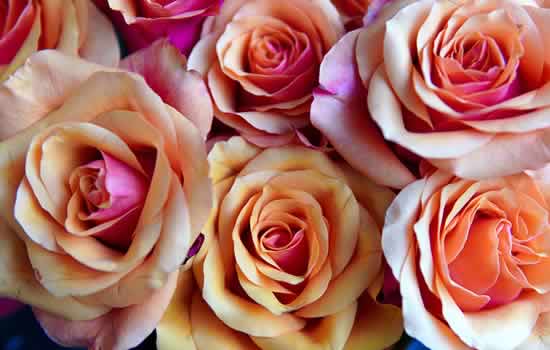 Addobbi floreali per lapidi e cimitero